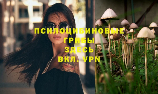 бошки Пересвет