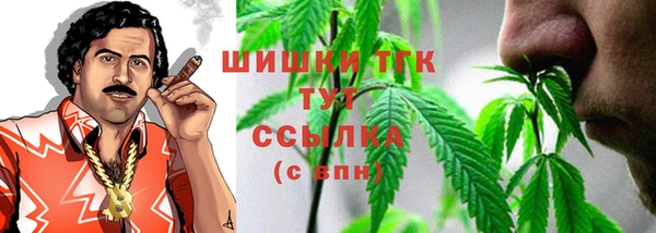 твердый Осташков