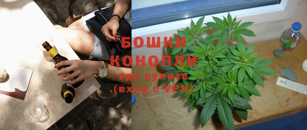 твердый Осташков