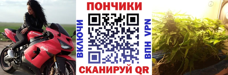 кракен зеркало  Холм  Марихуана гибрид 